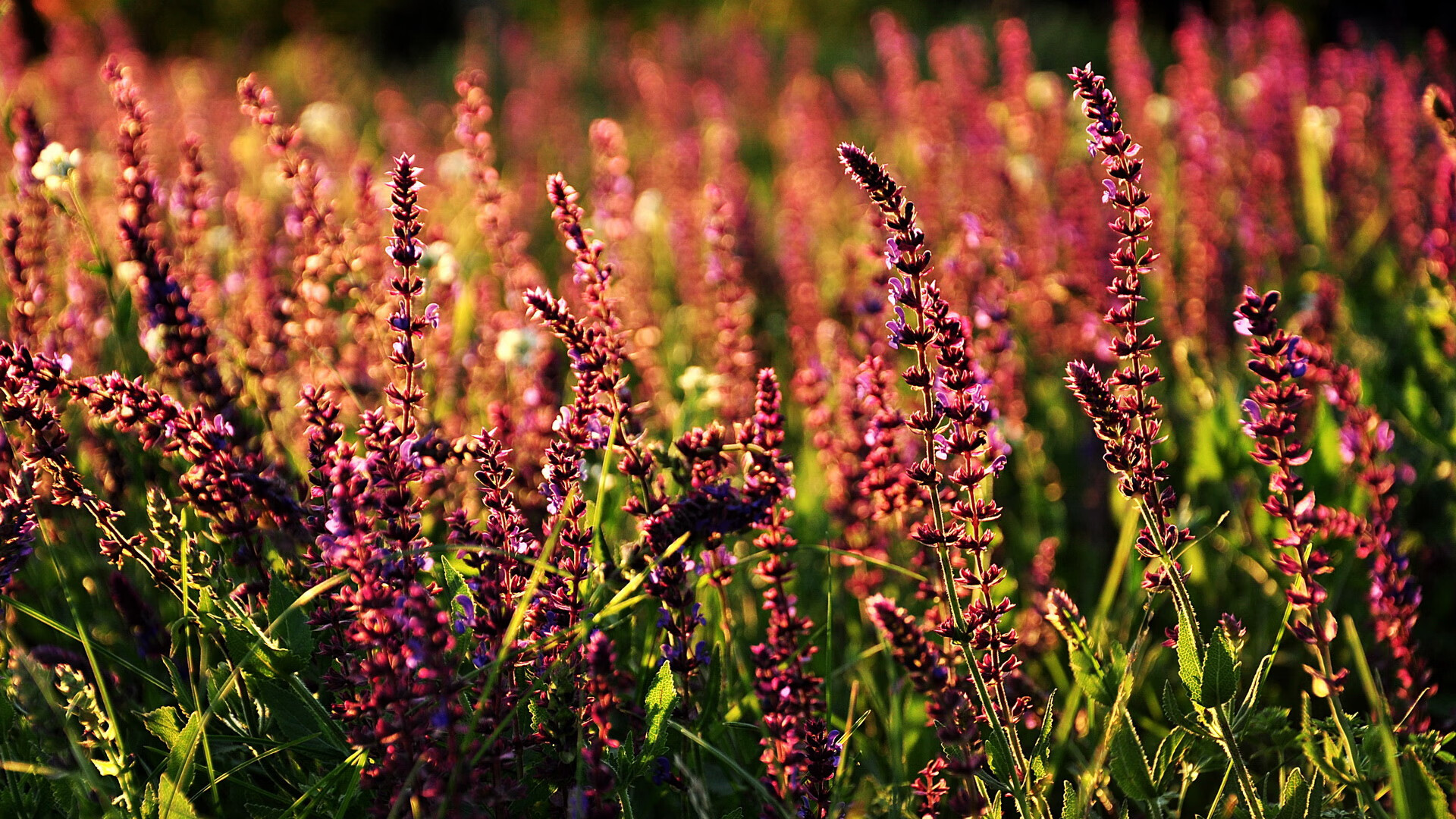 九游sports-_灰色工业区：复古工业环境中的创意赛事_，灰色产业大全