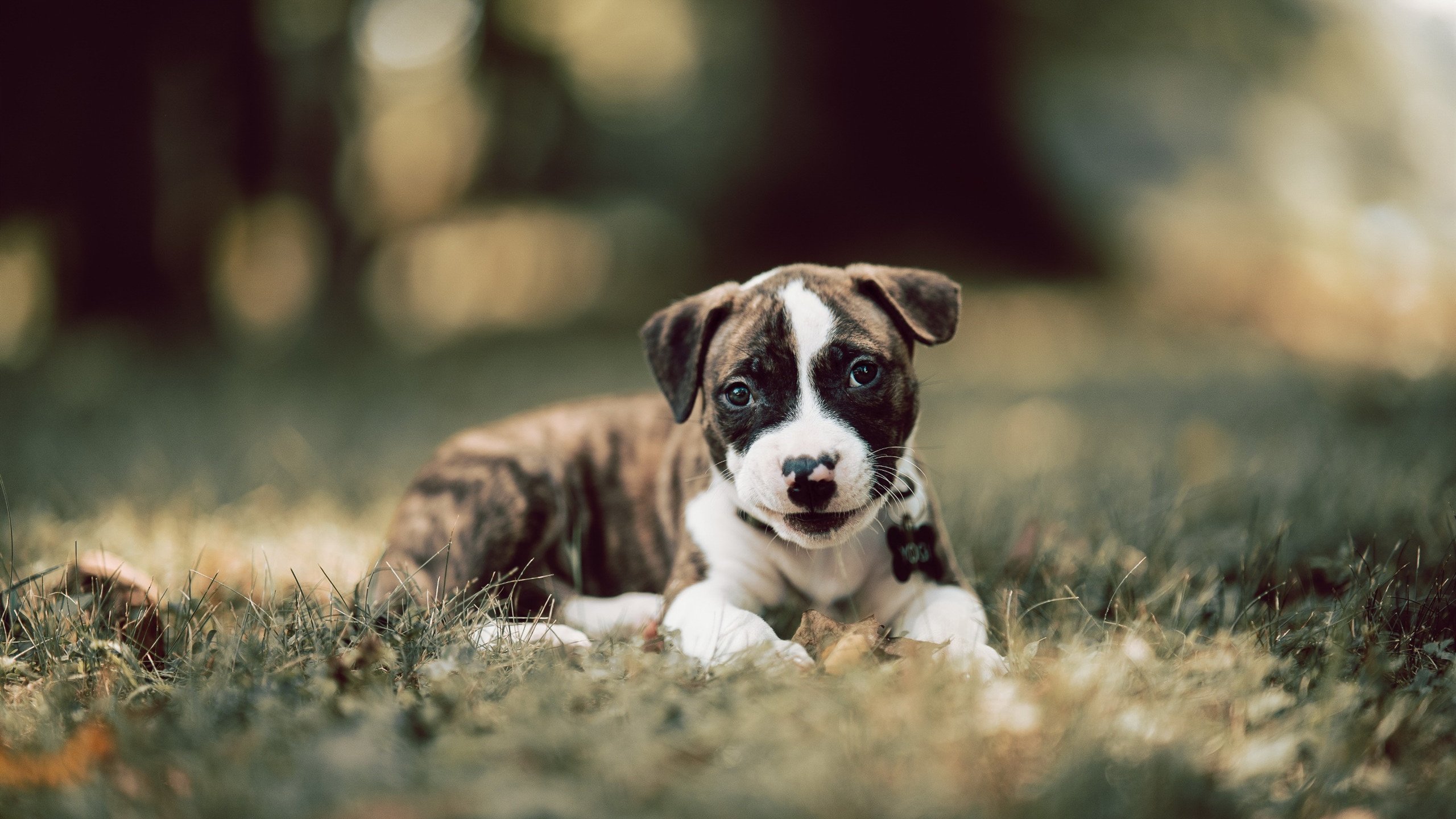 _灰色工业区：复古工业环境中的创意赛事_，灰色产业大全