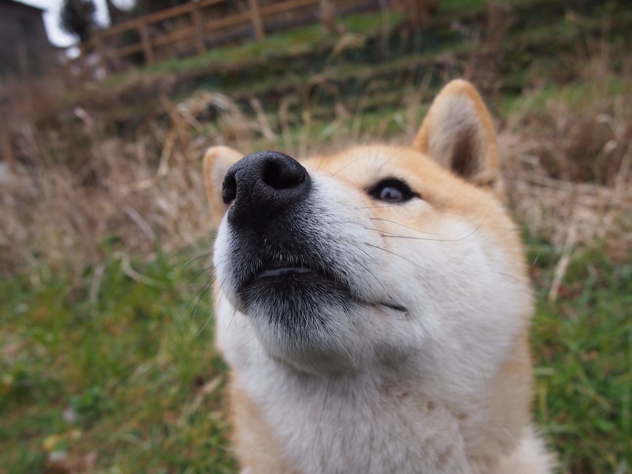 乌拉圭队中场贝尔特拉在巴黎奥运会上展现出强大的进攻组织能力