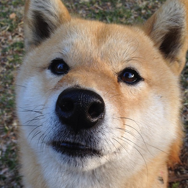 C罗连续进球助吉达联合取胜,c罗国家队进球和助功