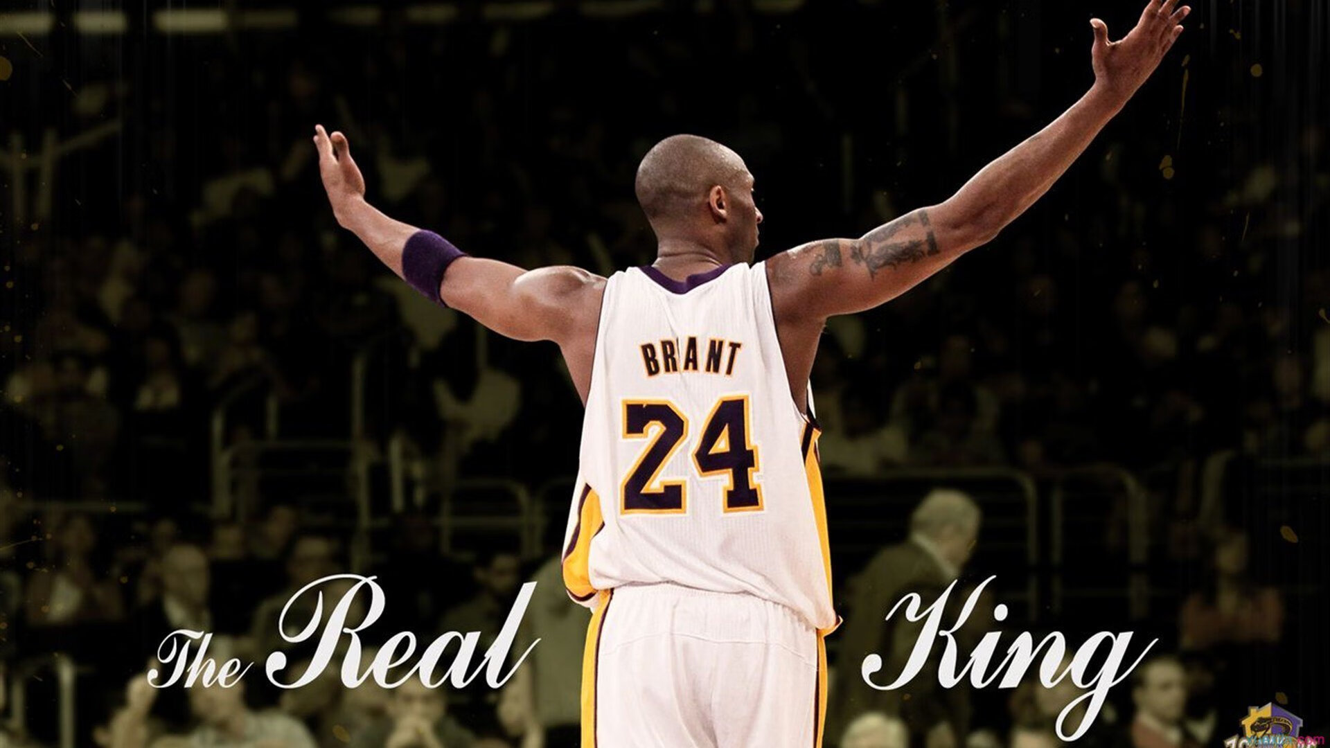 凯撒酋长青训营培养新星，未来可期，凯撒 csm