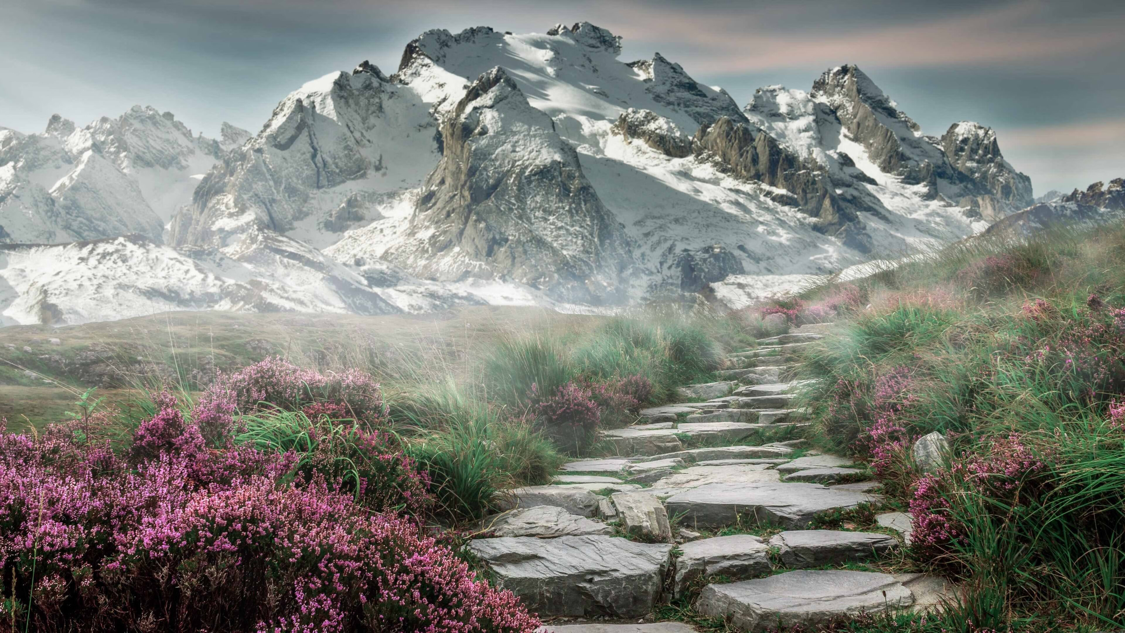 切尔西控球能力提升,蓝军志在保住前四,切尔西控球率