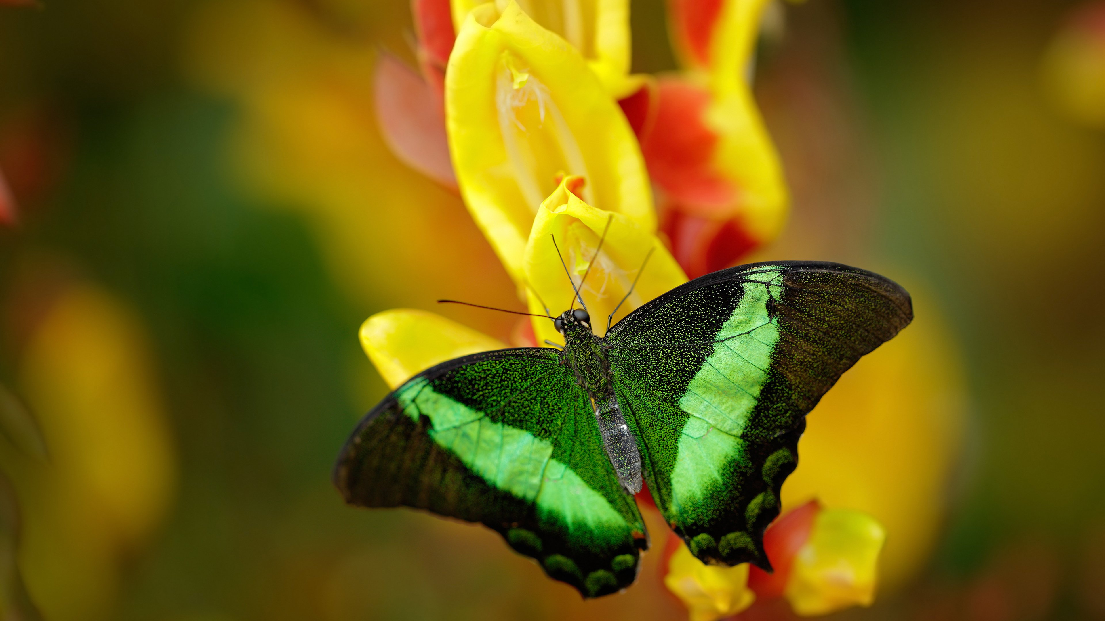 历史性奥运申办城市正式确定,历史奥运举办城市