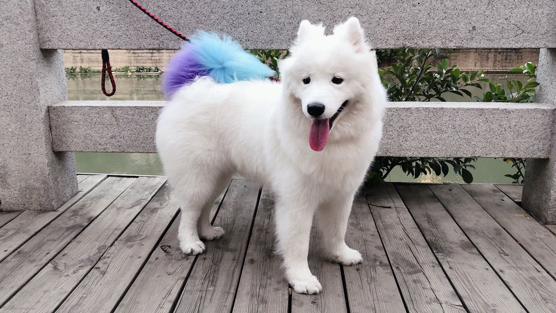 九游-尤文图斯客场大胜国际米兰，连胜获得关键三分实力强劲，尤文图斯对国际米兰集锦