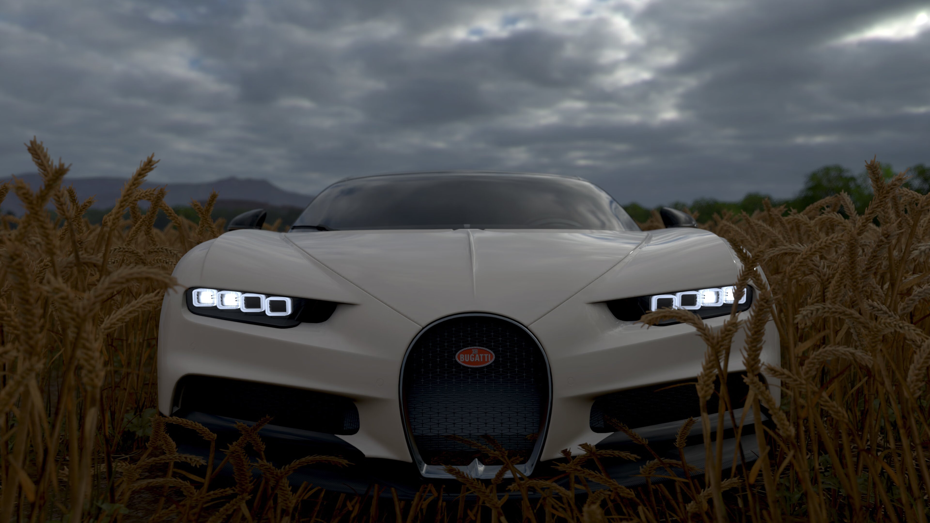 九游sports-布莱顿主场迎战谢菲联，球迷期待悬念揭晓，布莱顿对阵谢菲联