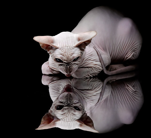 西班牙球员海外效力表现优异，西班牙球员海外效力表现优异的原因