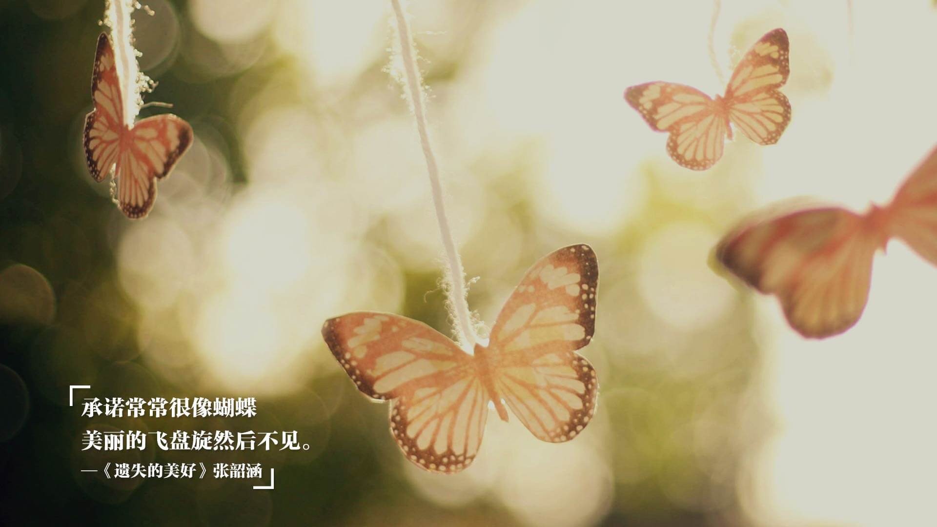 中国篮球联赛观众体验满意度提升方案,篮球比赛观众体验和参与的重要性