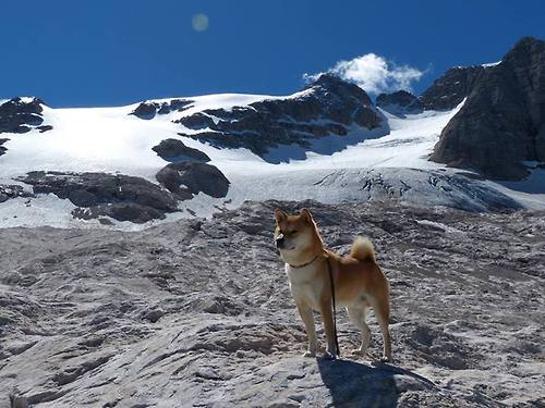全国青少年轮滑自由式赛场上精彩纷呈，第五届全国自由式轮滑锦标赛