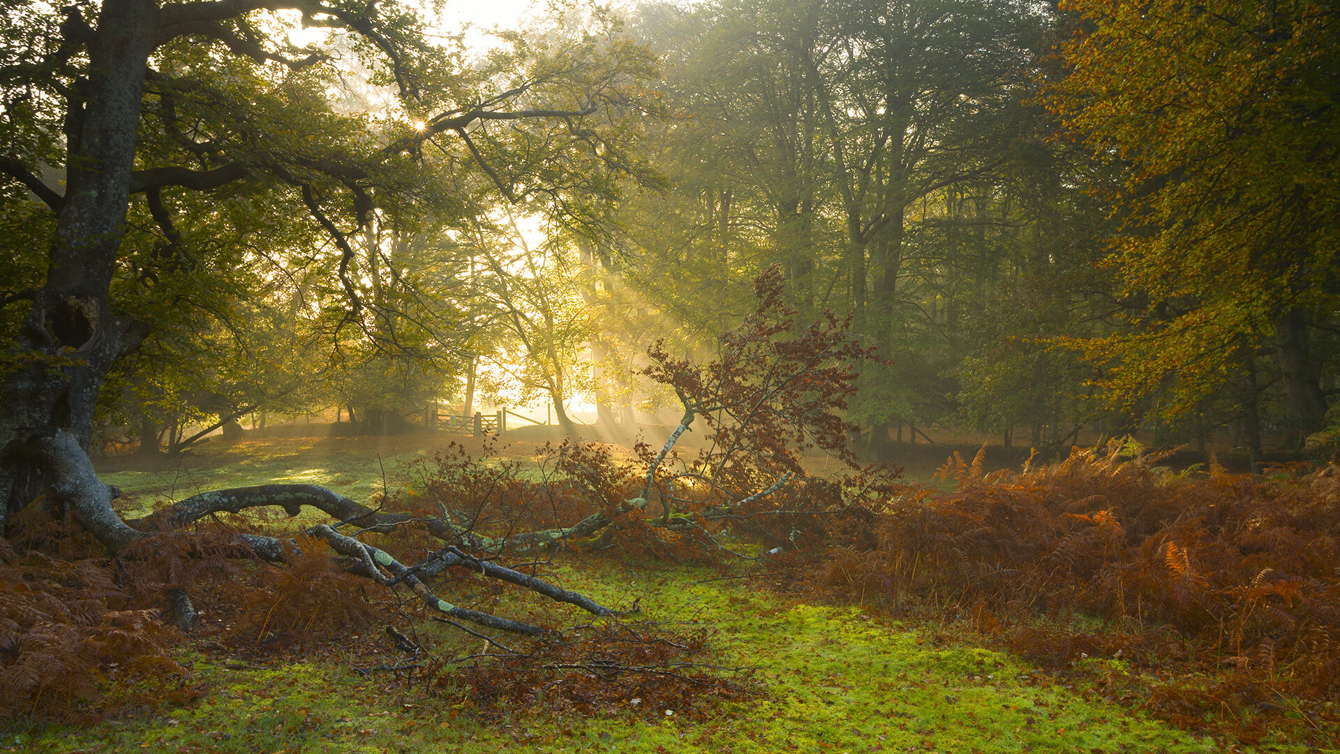 JIU YOU GAME-国足年度失误转丢球回合分类整理，国足转场