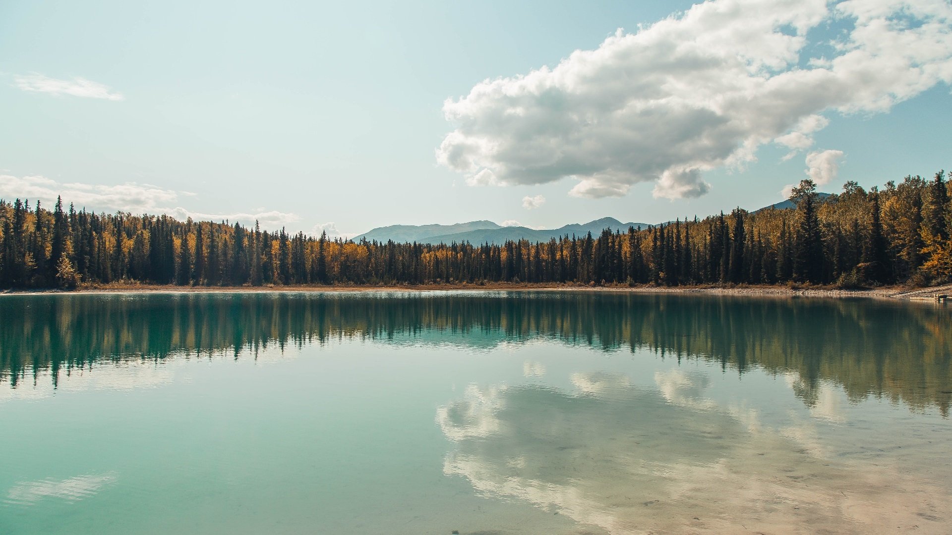 篮球专项体能训练周期设计及训练计划调整研究，篮球体能训练的基本要求