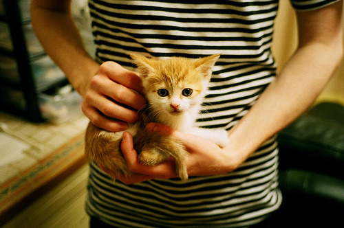 “高新体育中心羽毛球：速度与精准的完美碰撞”