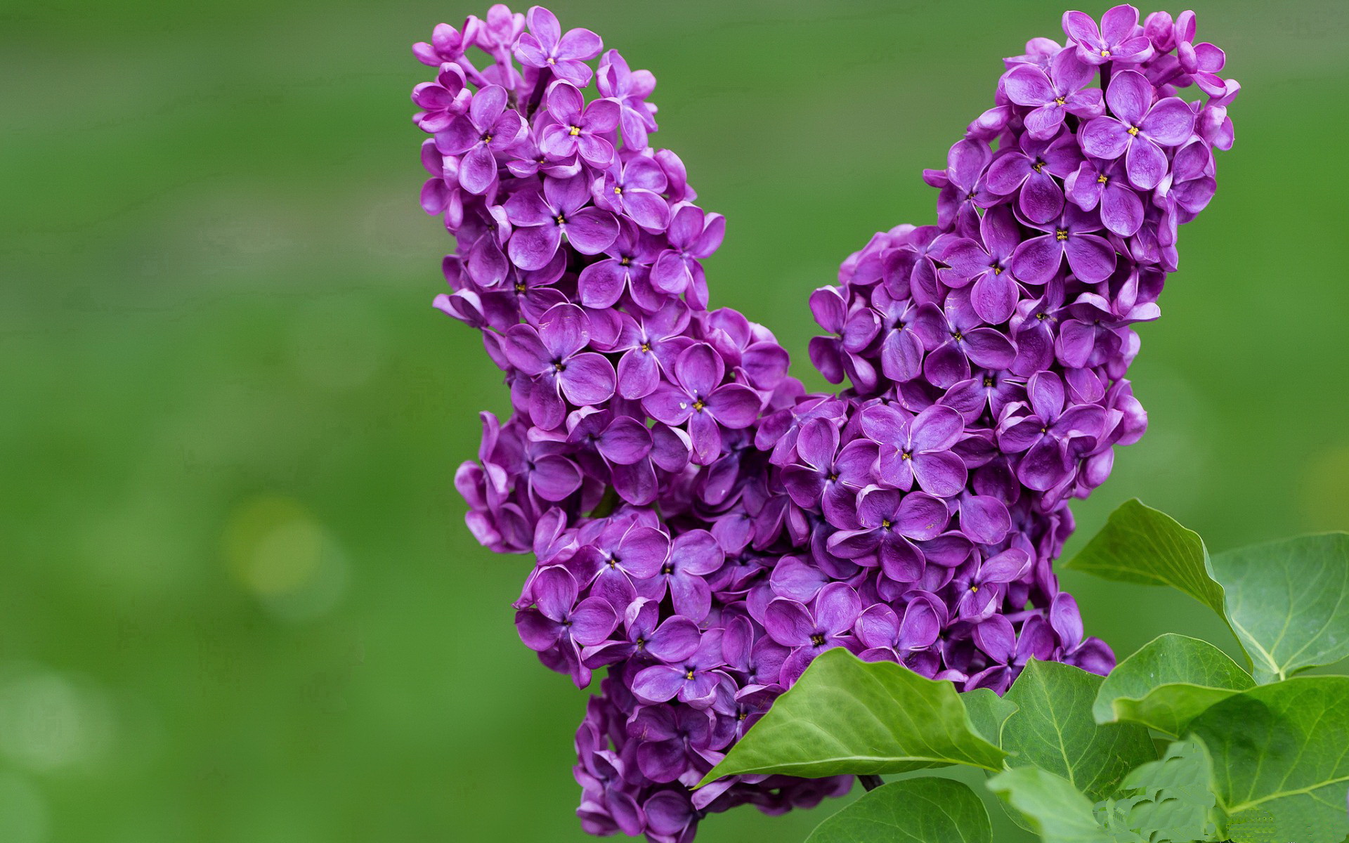 “高新体育中心网球赛:选手拼尽全力,赛场气氛爆棚”