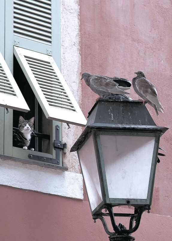 中国女篮加强防守反击 打造坚固防线,中国女篮真棒