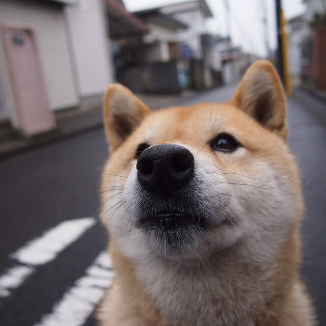 亚洲杯中国女足惨败 球员技术不足被曝光，中国女足惊动亚足联