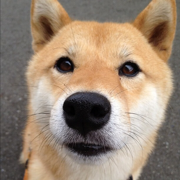 基层足球基础设施不足,社会足球场地建设存在的问题