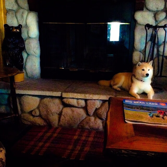 技术动作稳定性与比赛发挥关联,动作稳定性的重要性