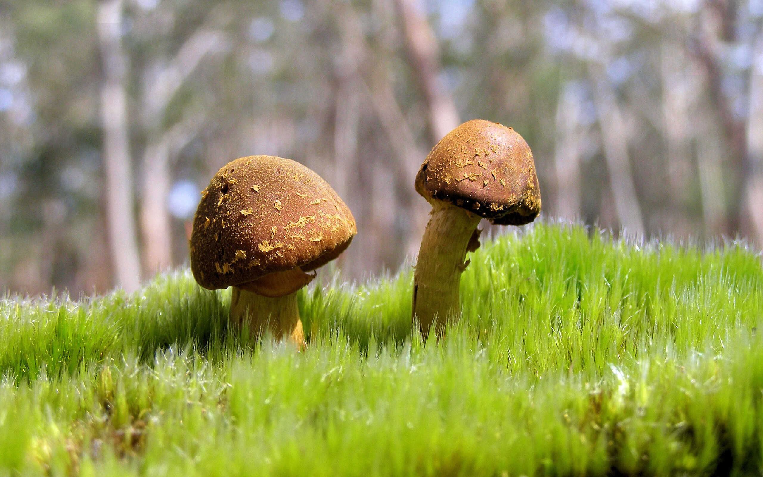 新疆男篮注重伤病预防确保阵容完整性,新疆男篮最新