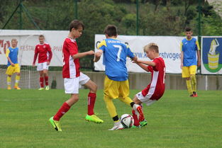 Jiu You-突尼斯希望进攻套路单一，被对手识破，突尼斯是啥意思