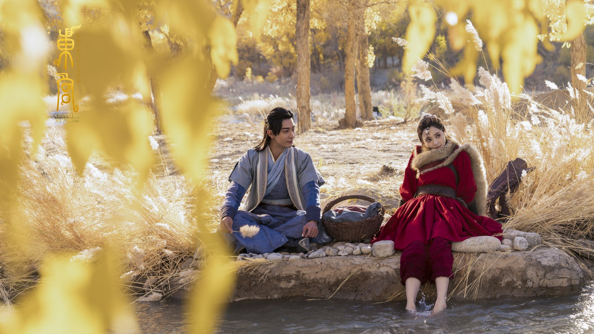 自由搏击青年组赛事开放报名人数激增,自由搏击青少年锦标赛