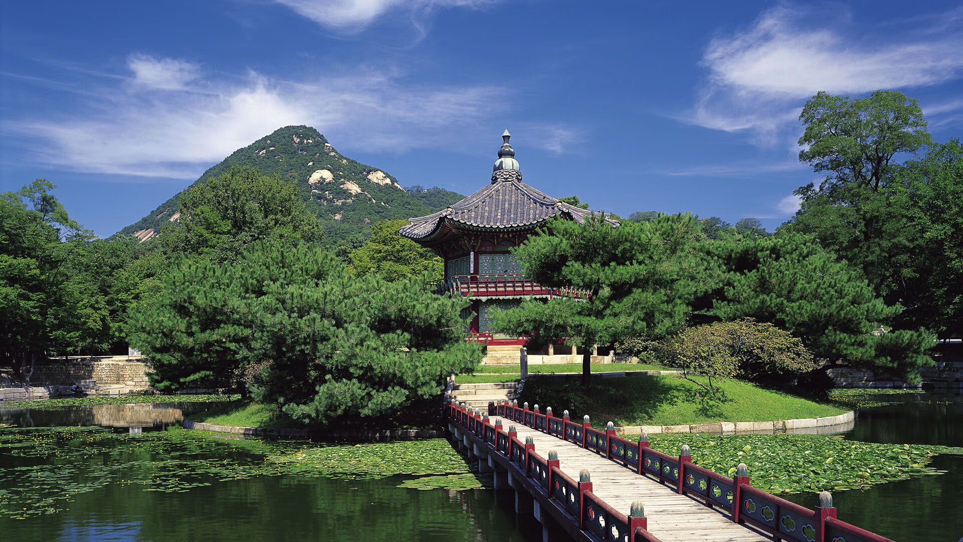 蒙彼利埃中后场联动提升整体强度,蒙彼利埃队