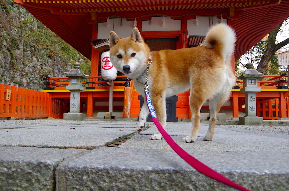 中国足球青少年项目强化反兴奋剂警示教育，青少年反兴奋剂教育平台