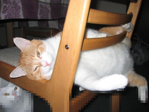 九游娱乐(jiuyou)官网-欧洲杯激烈角逐：战术变幻带来无限惊喜！，盘点欧洲杯