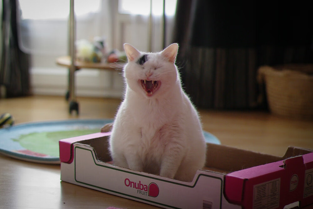 九游sports-球队发布官方海报传递备战信号激发球迷期待情绪，球队宣传文案