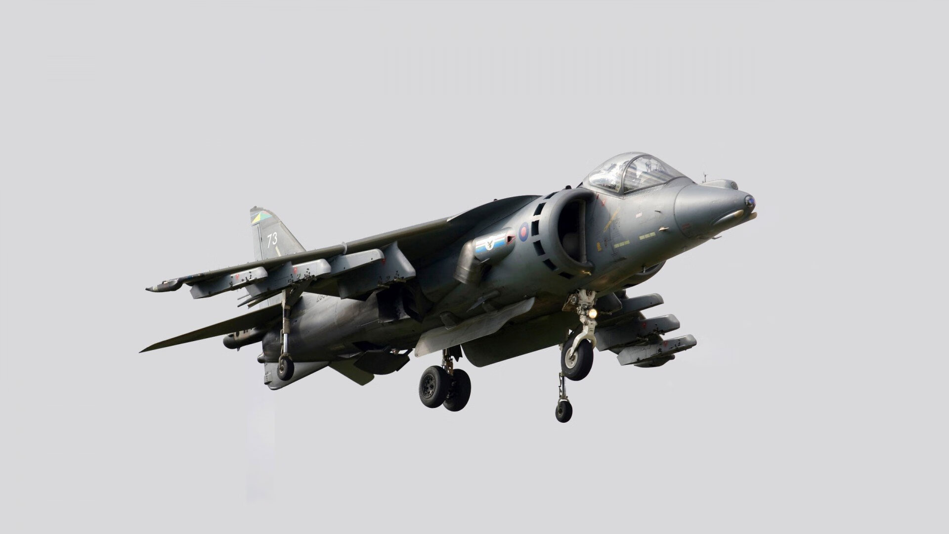 皮特·斯图斯的防守与进攻双重威胁,南非队的稳定力量,斯图皮特2021