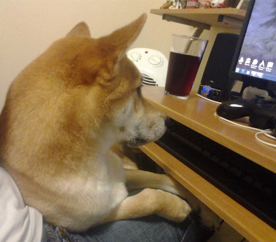 九游app下载中心-自主研发足球运动大数据系统，实现精细化管理与决策，足球大数据分析系统