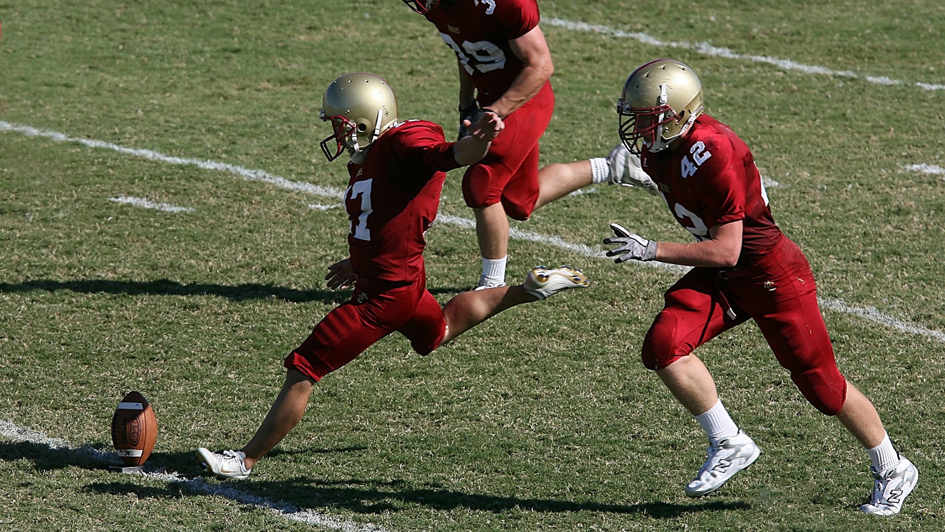 荷兰自由泳中长距离表现不俗,荷兰自由卡和永居