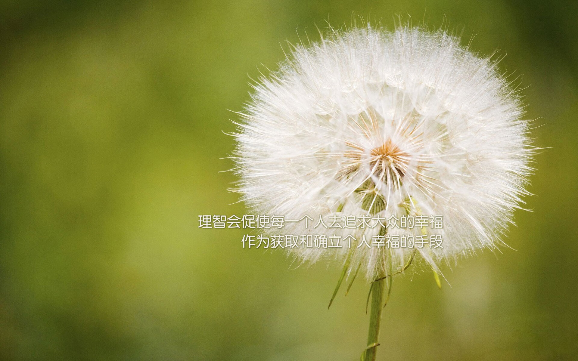 九游游戏中心-青少年足球比赛线上直播，扩大影响力，青少年足球比赛线上直播,扩大影响力是什么